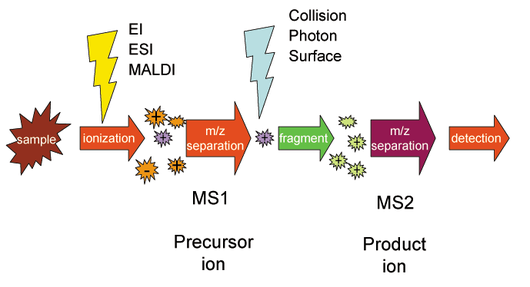 tandem_mass_spectrometry.png